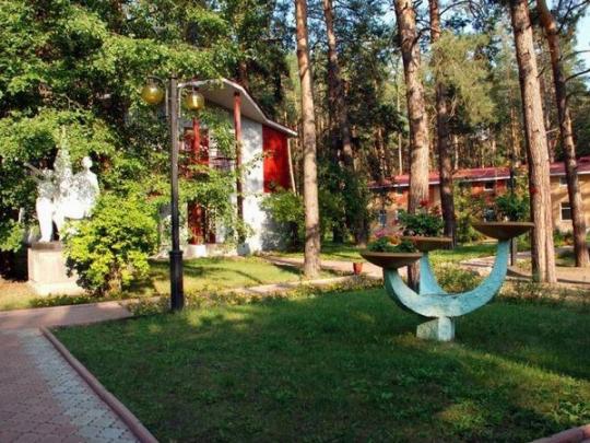 Названы причины отравления десятков детей в лагере на Донбассе