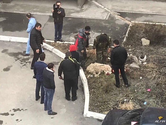 В России баранов резали прямо во дворе многоэтажки: сеть в шоке (фото)