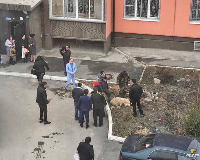 В России баранов резали прямо во дворе многоэтажки: сеть в шоке (фото)