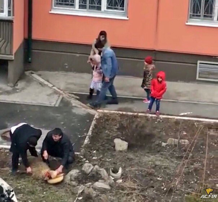 В России баранов резали прямо во дворе многоэтажки: сеть в шоке (фото)