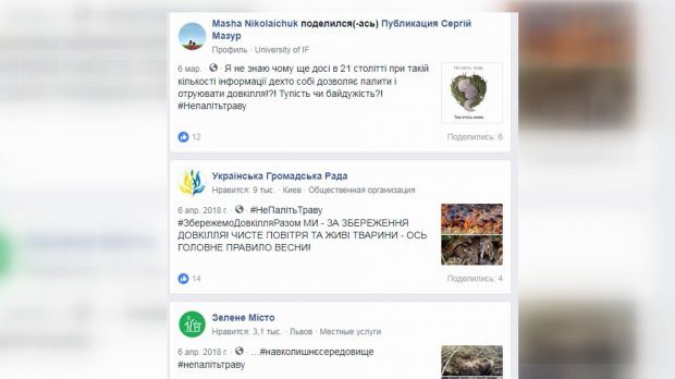 Чому не можна спалювати стерню: непоправні наслідки для природи і здоровя людини
