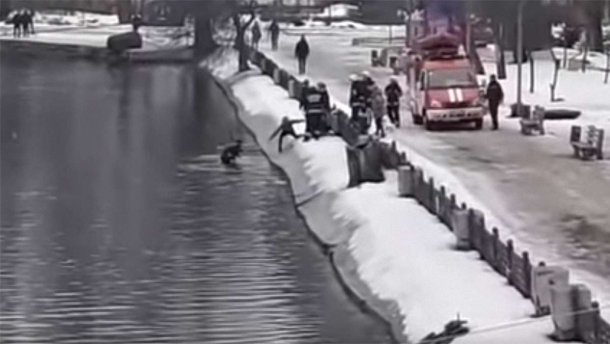 Хлопець пірнув у крижану воду, щоб врятувати собаку у Дніпрі: відео