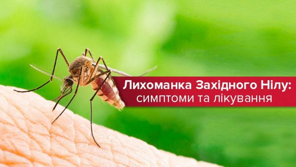 Лихоманка Західного Нілу: шляхи зараження, симптоми та лікування