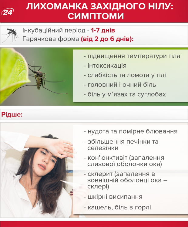 Лихоманка Західного Нілу: шляхи зараження, симптоми та лікування