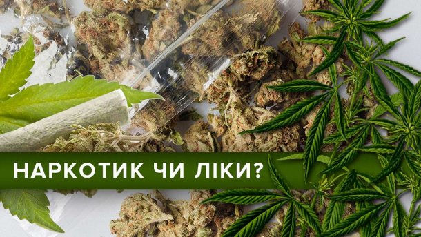 Марихуана: вплив на організм та лікувальні властивості в інфографіці