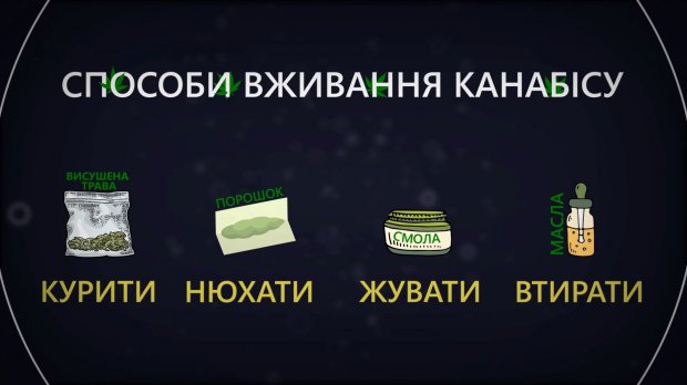 Нюхати, курити чи лікуватись: як конопля впливає на організм людини і чи варто її легалізувати