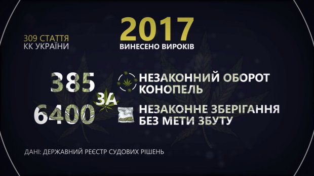 Нюхати, курити чи лікуватись: як конопля впливає на організм людини і чи варто її легалізувати