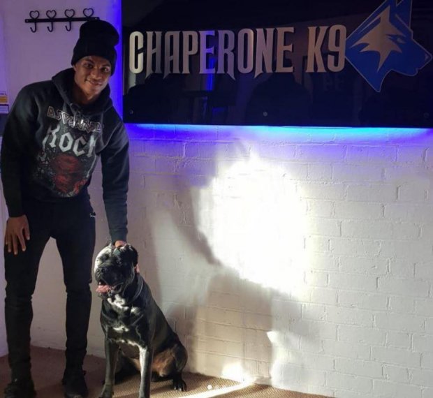 Поль Погба купив ротвейлера за 15 тисяч фунтів, щоб захиститися від фанатів: фото
