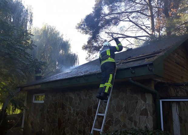 У Черкасах із палаючого зоопарку рятували птахів і мавп: фото