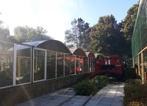 У Черкасах із палаючого зоопарку рятували птахів і мавп: фото