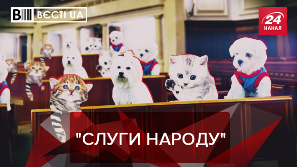 Вєсті.UA. Жир: Ручні тваринки у Слузі народу? Чорна смуга Гонтаревої