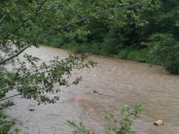 Вантажівка з лісниками впала у річку на Закарпатті: 5 осіб загинули – фото