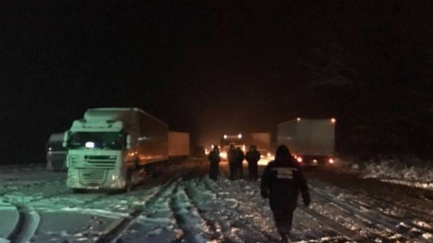 Внаслідок негоди на Буковині знеструмлено майже 90 сіл, а у Чернівцях випав 35-сантиметровий сніг: дивіться фото та відео