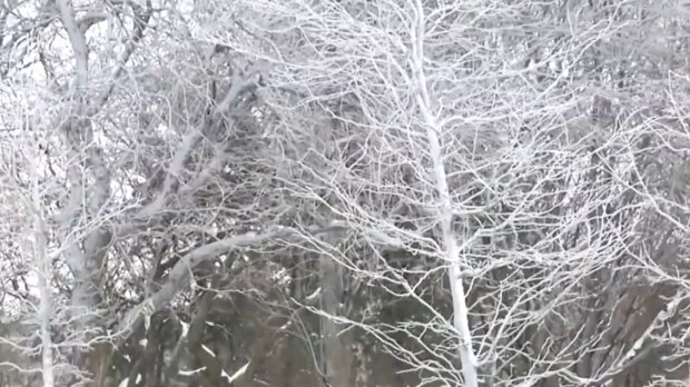 Як у різних областях України справляються з негодою: фото та відео