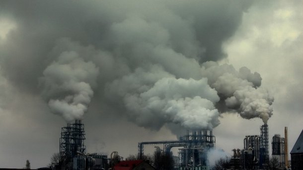 Захист природи в Україні: моніторинг – важливо, але...