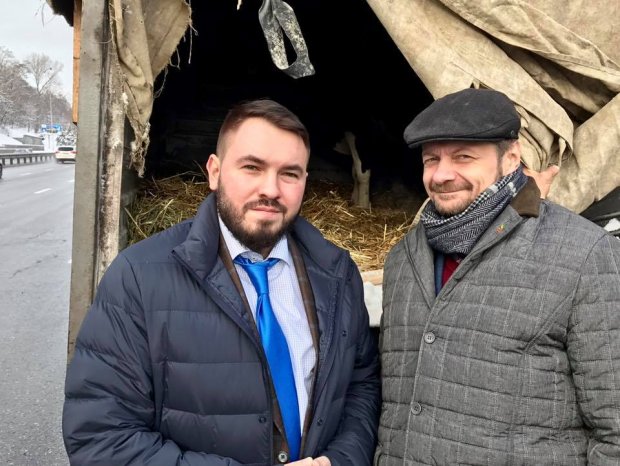 Зашкварні декларації та трилітровий Чаус: 12 найвеселіших ляпів року
