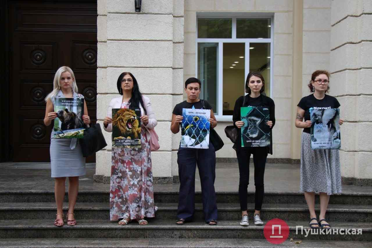 «Животные всю жизнь мучаются»: активисты и Госэкоинспекция требуют остановить работу одесского цирка
