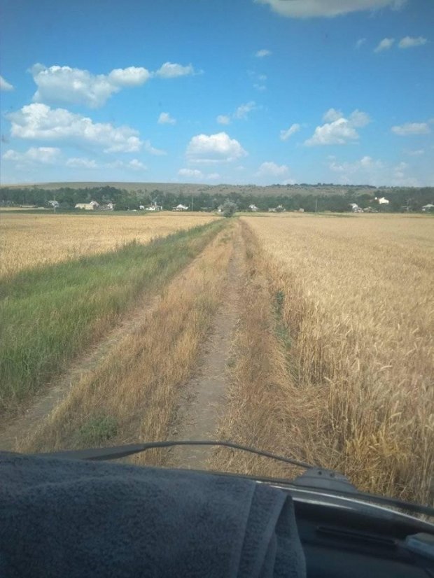Зникнення та вбивство 11-річної Дарії Лукяненко: усе, що відомо