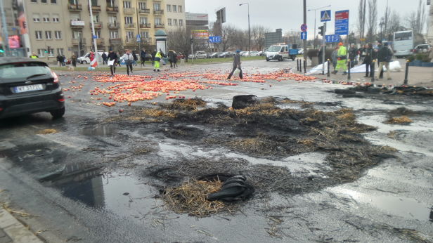 Горящие шины, рассыпанные на асфальте яблоки и свиная туша — польские аграрии протестуют