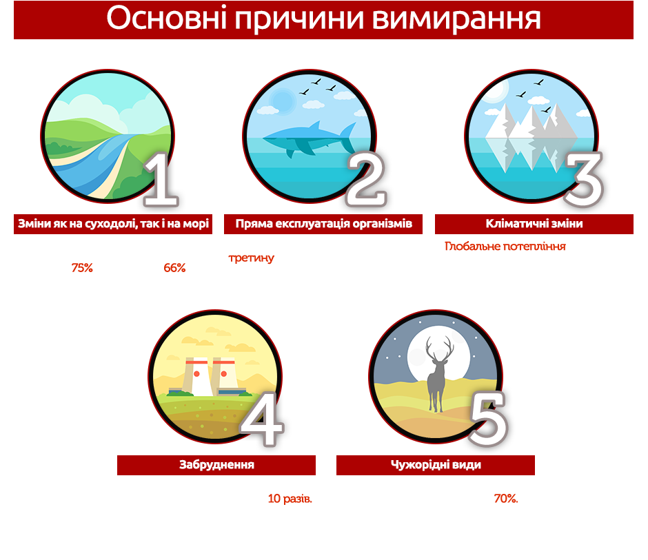 Миллионам животных и растений угрожает вымирание, люди тоже в опасности. Объясняем, почему
