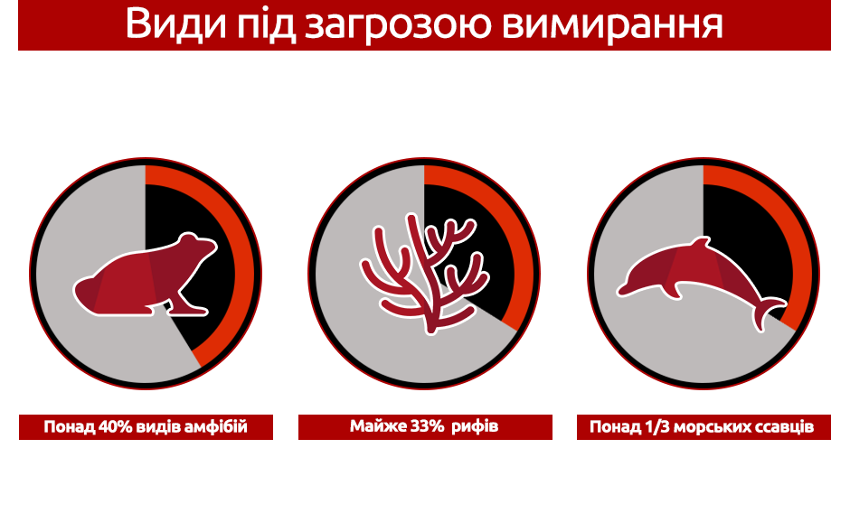 Миллионам животных и растений угрожает вымирание, люди тоже в опасности. Объясняем, почему
