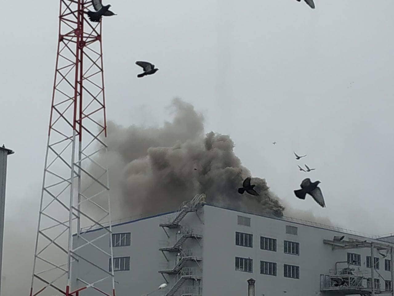 На территории Николаевского морского порта произошел пожар