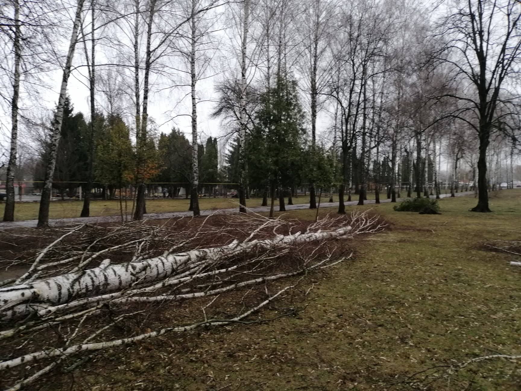 Над Сумской областью пронесся ураган