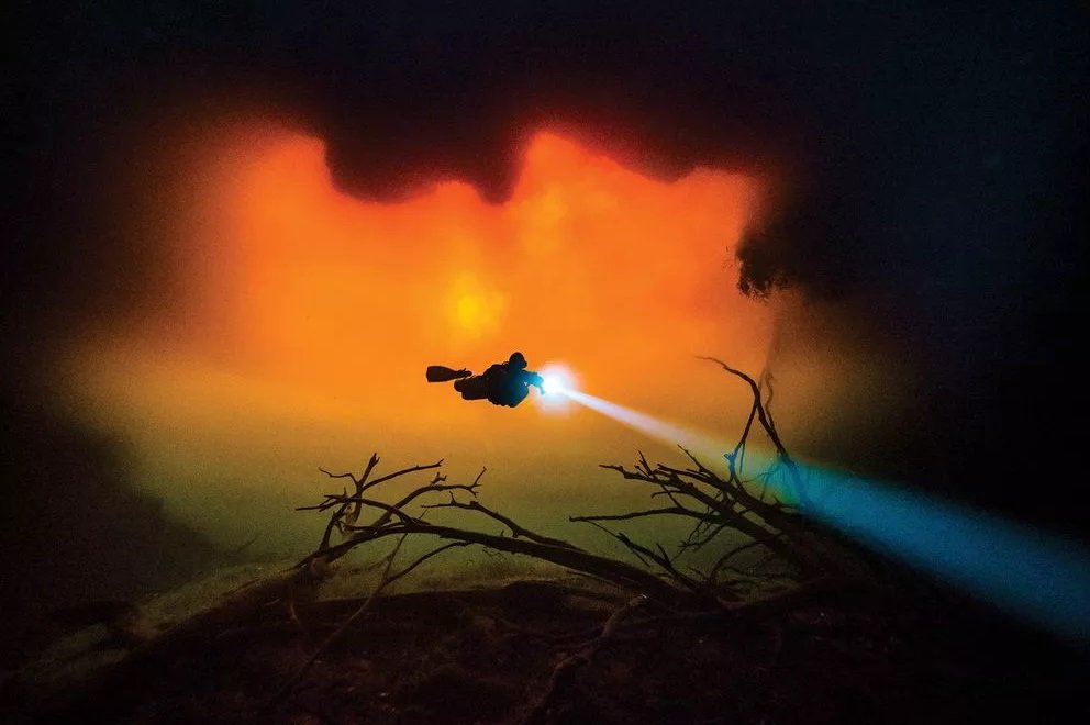 Названы лучшие фотографии года, сделанные под водой