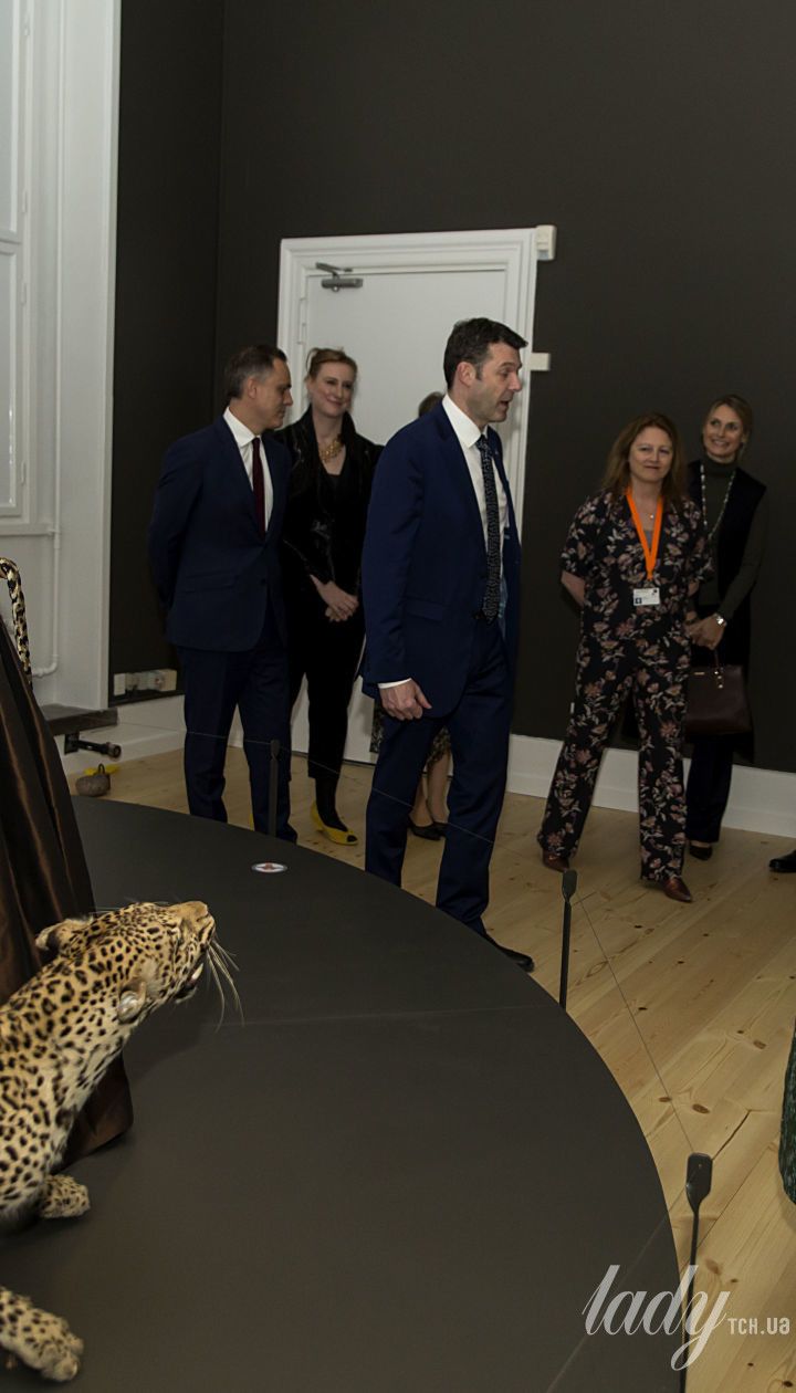 Одна другой ярче: королева Маргрете II и кронпринцесса Мэри на открытии парламента