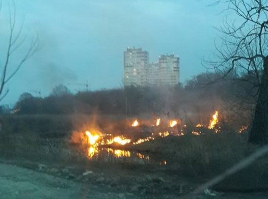 Под Киевом горят торфяники