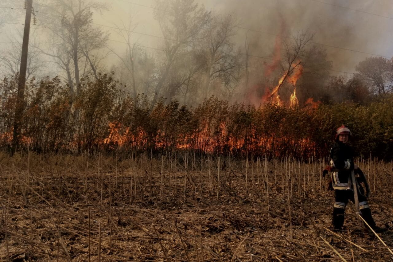 Пожар на военном полигоне под Харьковом: школы и детсады закрыли из-за загрязненного воздуха (ФОТО, ВИДЕО)