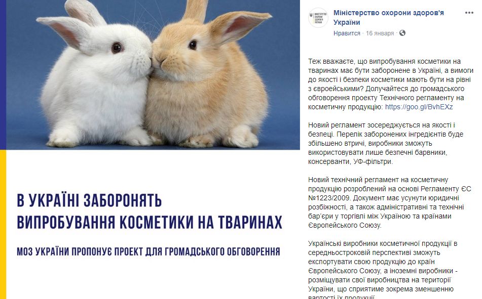 Що приховують чиновники МОЗ за фотографією пухнастих кроликів
