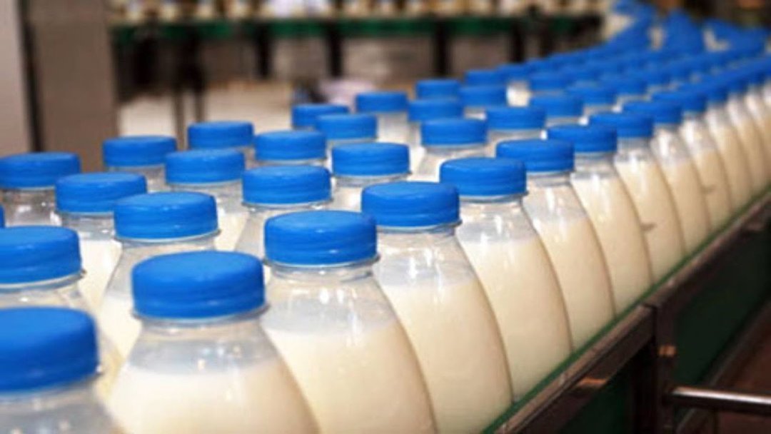Стали известны лидеры по производству молочной продукции в Украине