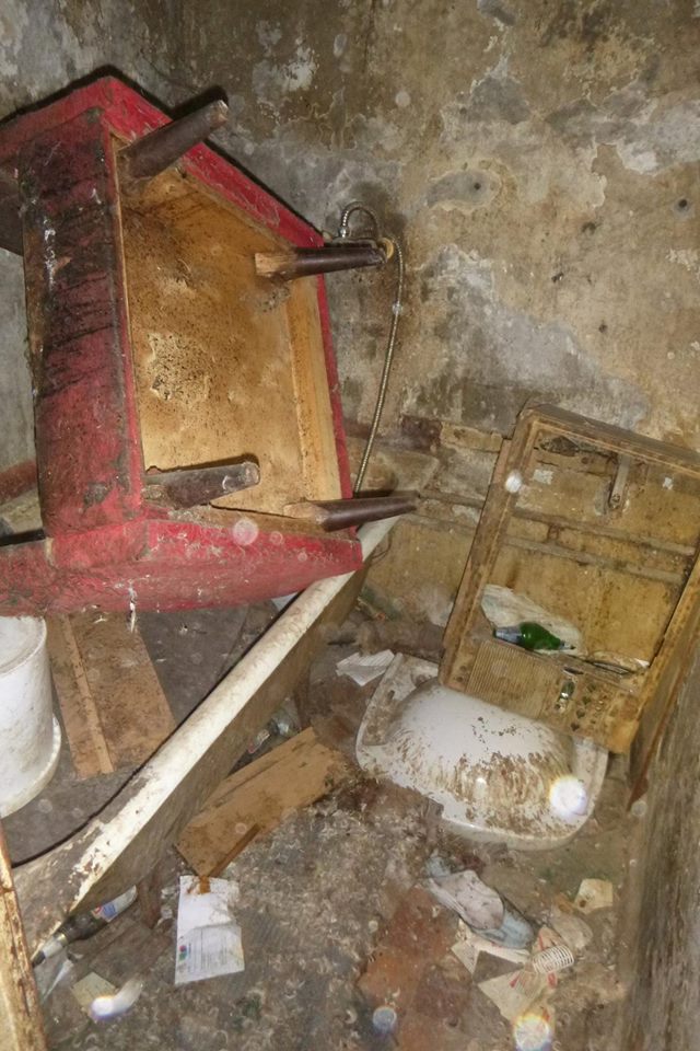 Столичные волонтеры спасли 9 животных, которые после смерти хозяйки месяц сами жили в квартире