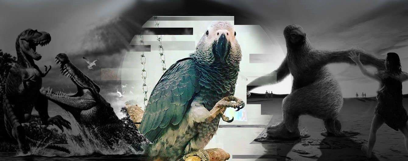 Ученые заподозрили мегапопугаев в каннибализме и нашли пингвина-монстра: последние гигантские открытия