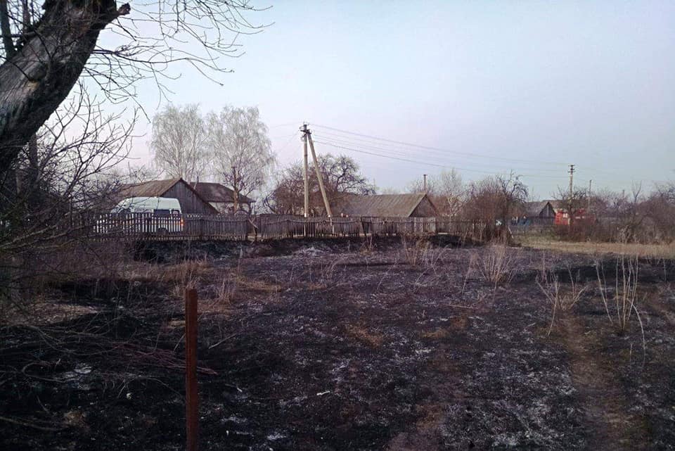 В Черниговской области избили двух спасателей, которые тушили сухую траву