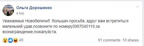 В Киеве ищут удава, который выполз из квартиры в многоэтажке