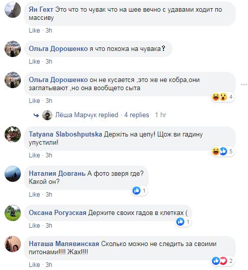 В Киеве ищут удава, который выполз из квартиры в многоэтажке
