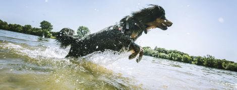 В Киеве на выходные перекроют часть города: куда нельзя будет попасть на авто. Инфографика