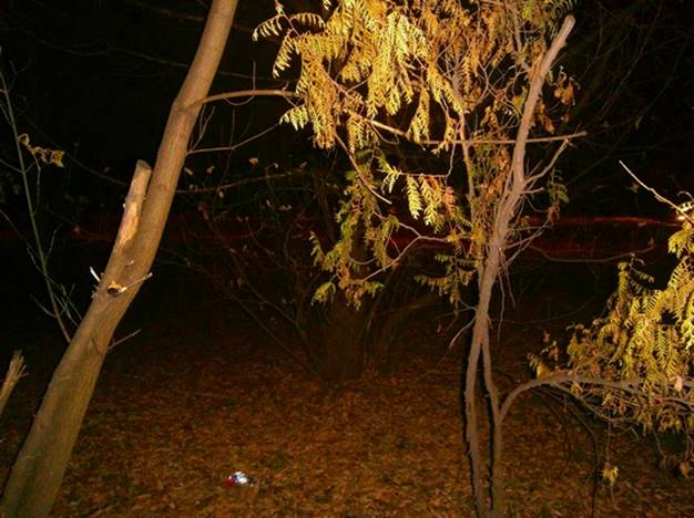 В Киеве около станции метро Бориспольская ограбили и изнасиловали женщину