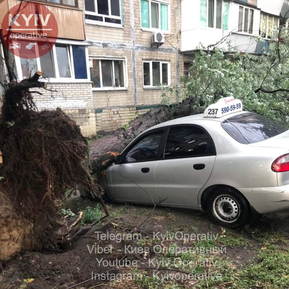 В Киеве сильный ливень с ветром повалил деревья на машины, улицы подтоплены (фото, видео)