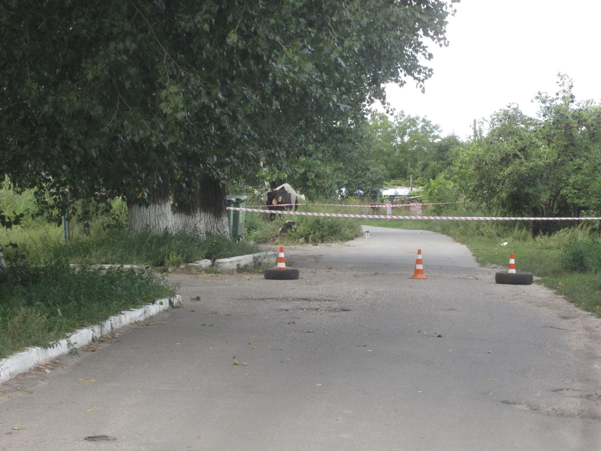 В Киевской области на мусорке валялась противопехотная мина