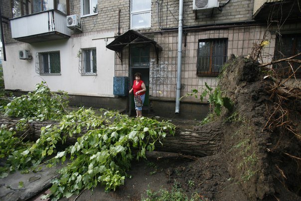В Луганске ураган повалил деревья и оборвал провода (обновлено)