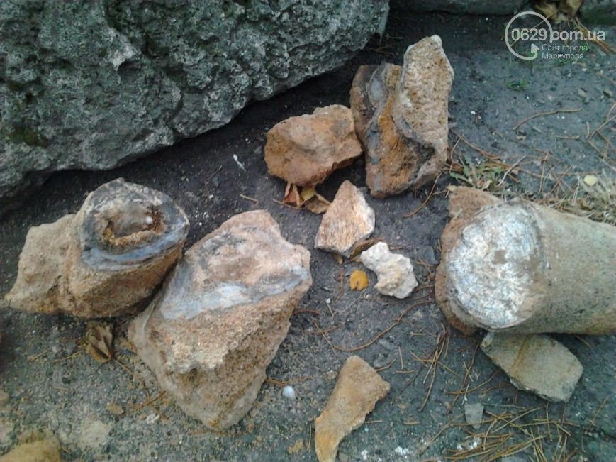 В Мариуполе нашли останки южного слона, которым не меньше миллиона лет