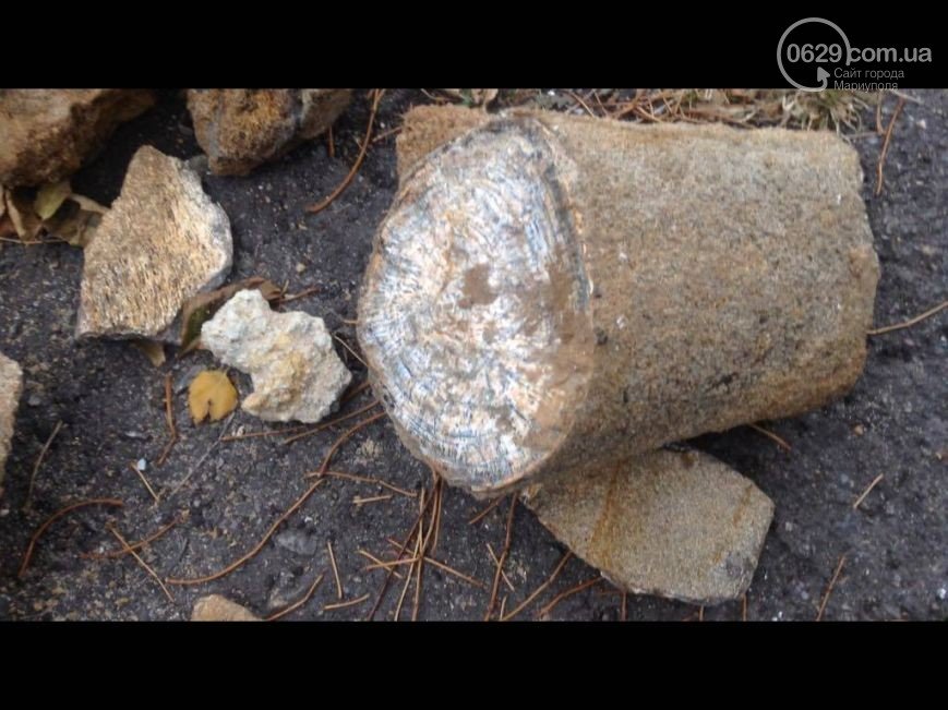 В Мариуполе нашли останки южного слона, которым не меньше миллиона лет