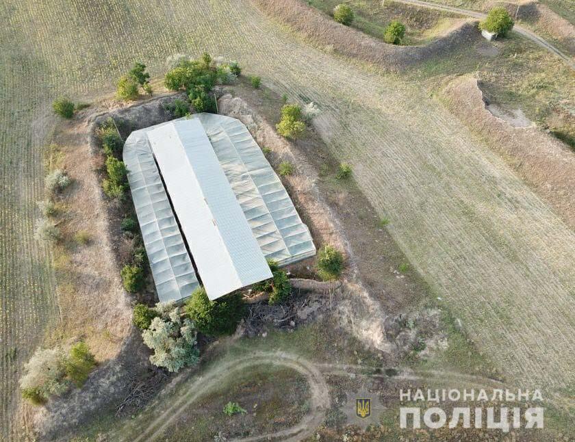 В Одесской области правоохранители обнаружили теплицы с 4 т конопли