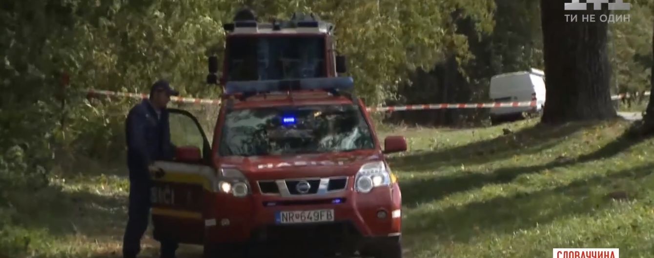 В Словакии на мальчика упало дерево, он погиб