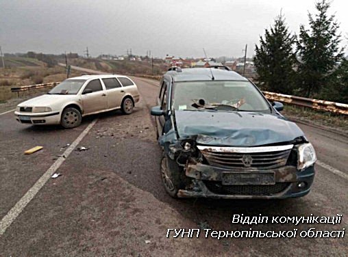В Тернопольской обл. пьяный водитель протаранил полицейский автомобиль