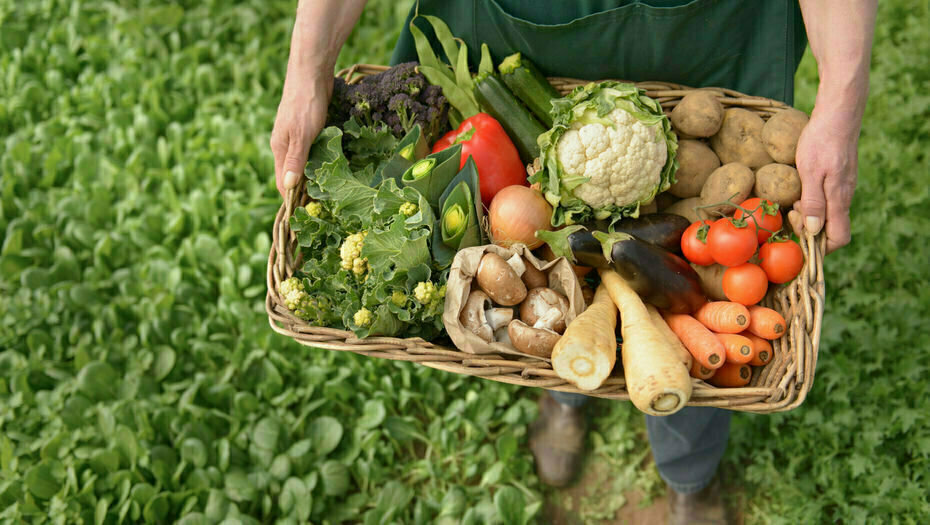 В Украине вступили в силу новые требования к производству органической продукции