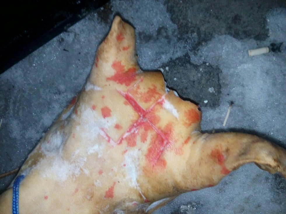 В Умани осквернили синагогу на могиле Раби Нахмана